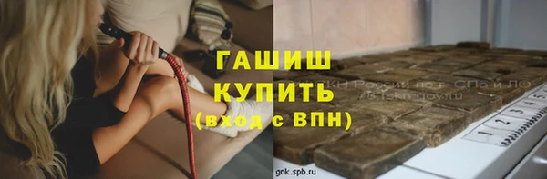 spice Богородицк